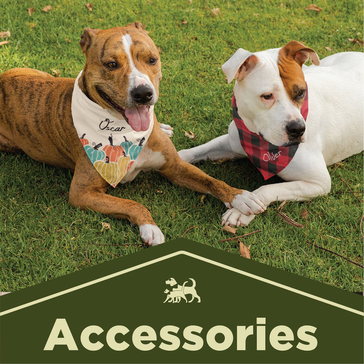 Pet Clothing & Accessories