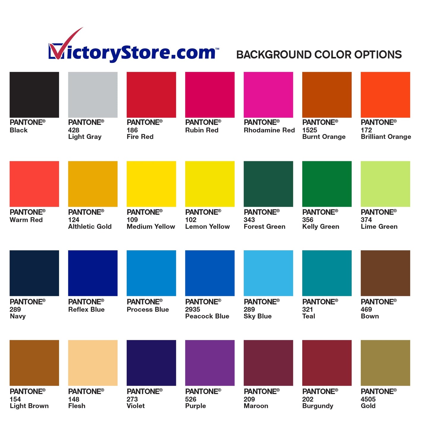 Custom School Name License Plate Frame - Class of 2025