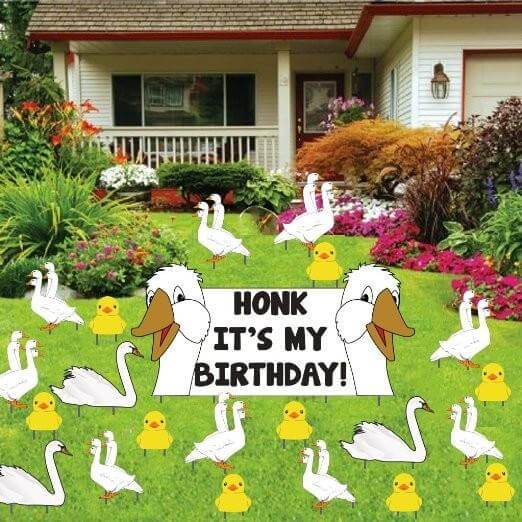Birthday Yard Decoration - Honk It's My Birthday - FREE SHIPPING
