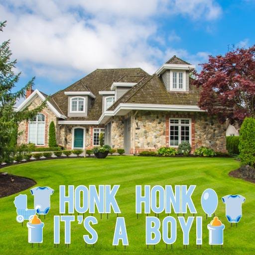 Honk Honk It's A Boy Baby Shower Yard Decoration 23 pc set