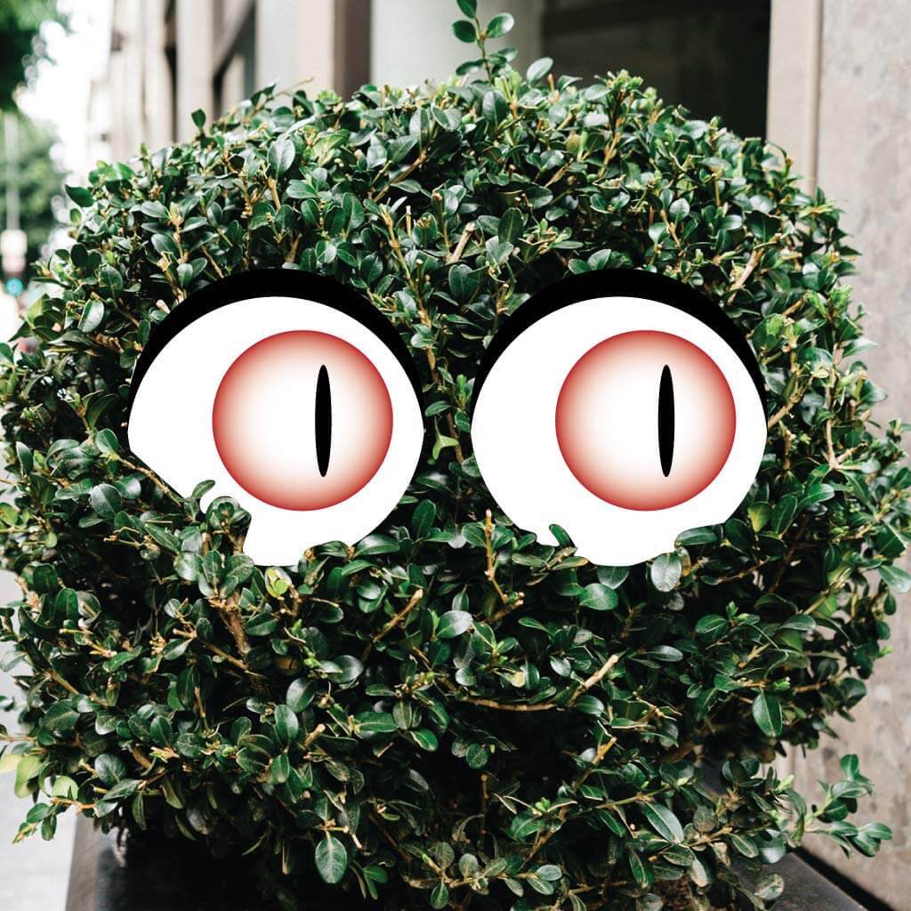 Scary Eyes Halloween Yard Decorations - 12 piece set