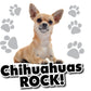 Chihuahuas Rock! White T-Shirt - FREE SHIPPING