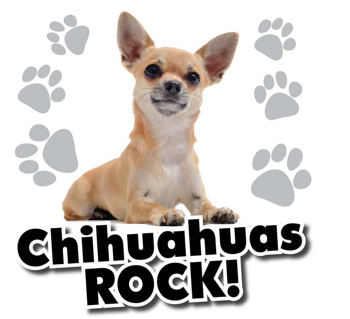 Chihuahuas Rock! White T-Shirt - FREE SHIPPING