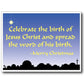 Celebrate the Birth of Jesus Christ Christmas Lawn Sign - FREE SHIPPING