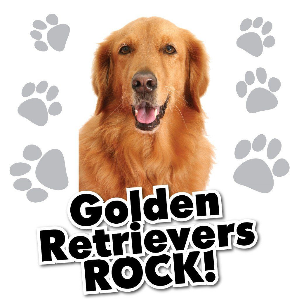 Golden Retrievers Rock! White T-Shirt - FREE SHIPPING