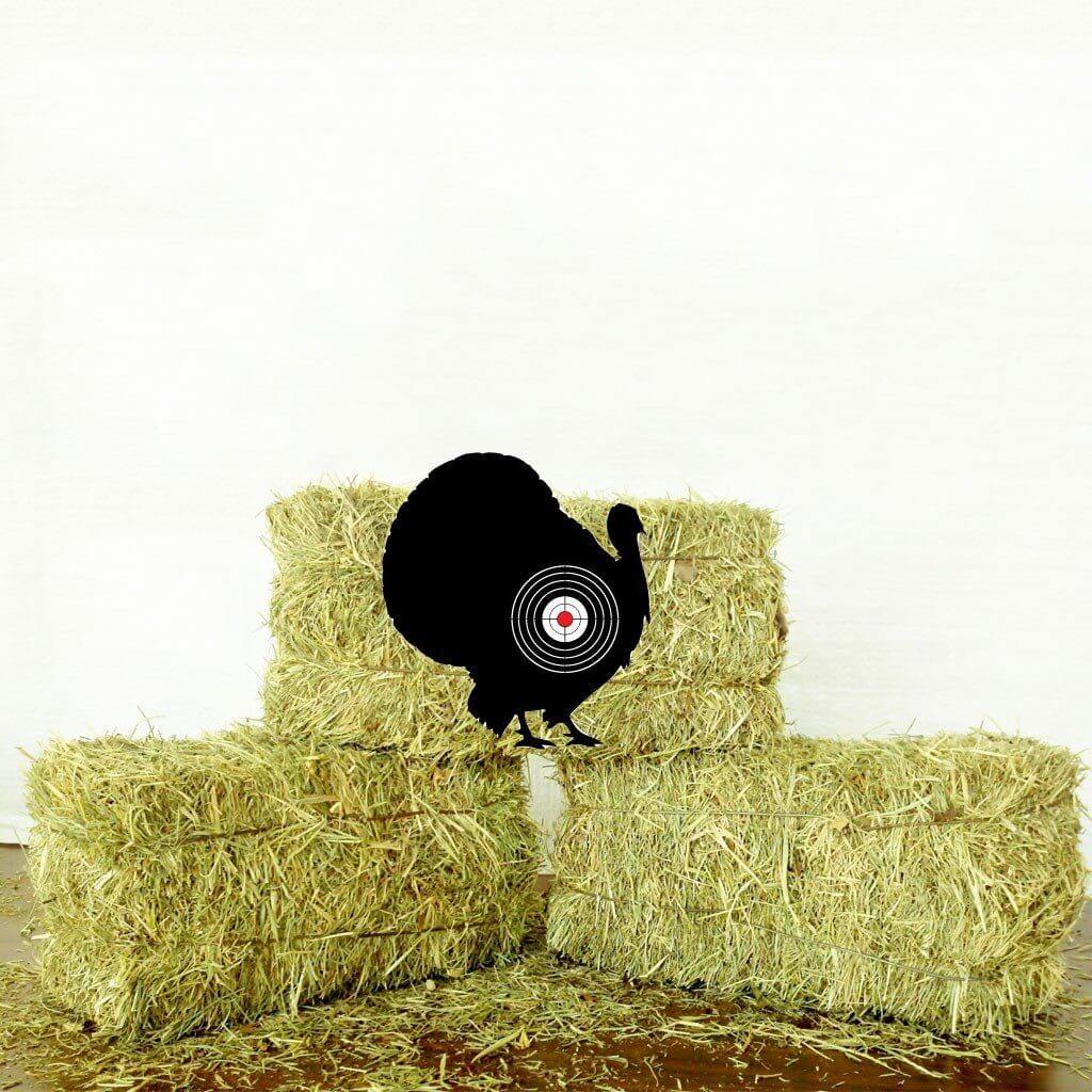 10 Durable Animal Targets