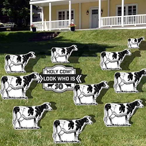 Holy Cow! Look Who is 50! Birthday Yard Card