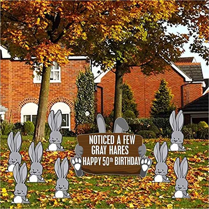 966464_7 966464_7