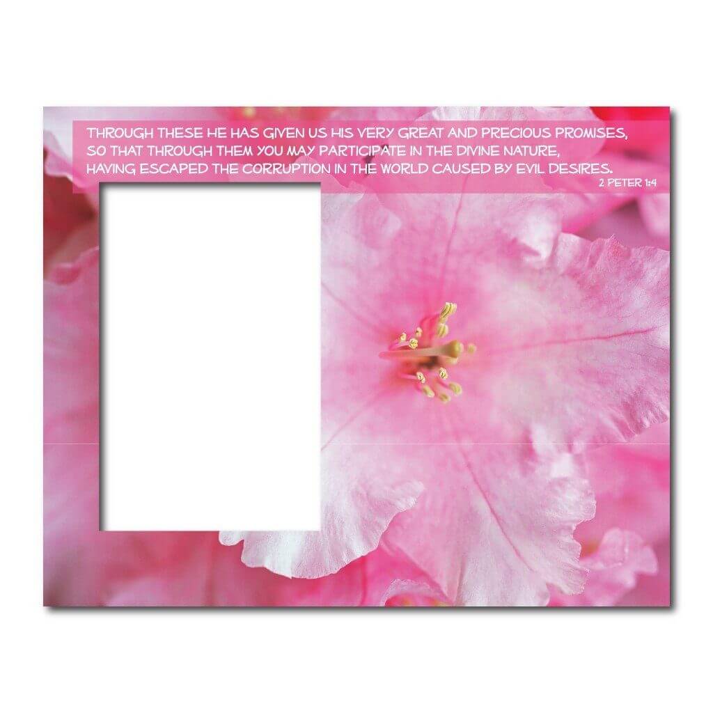 2 Peter 1:4 Decorative Picture Frame - Holds 4x6 Photo