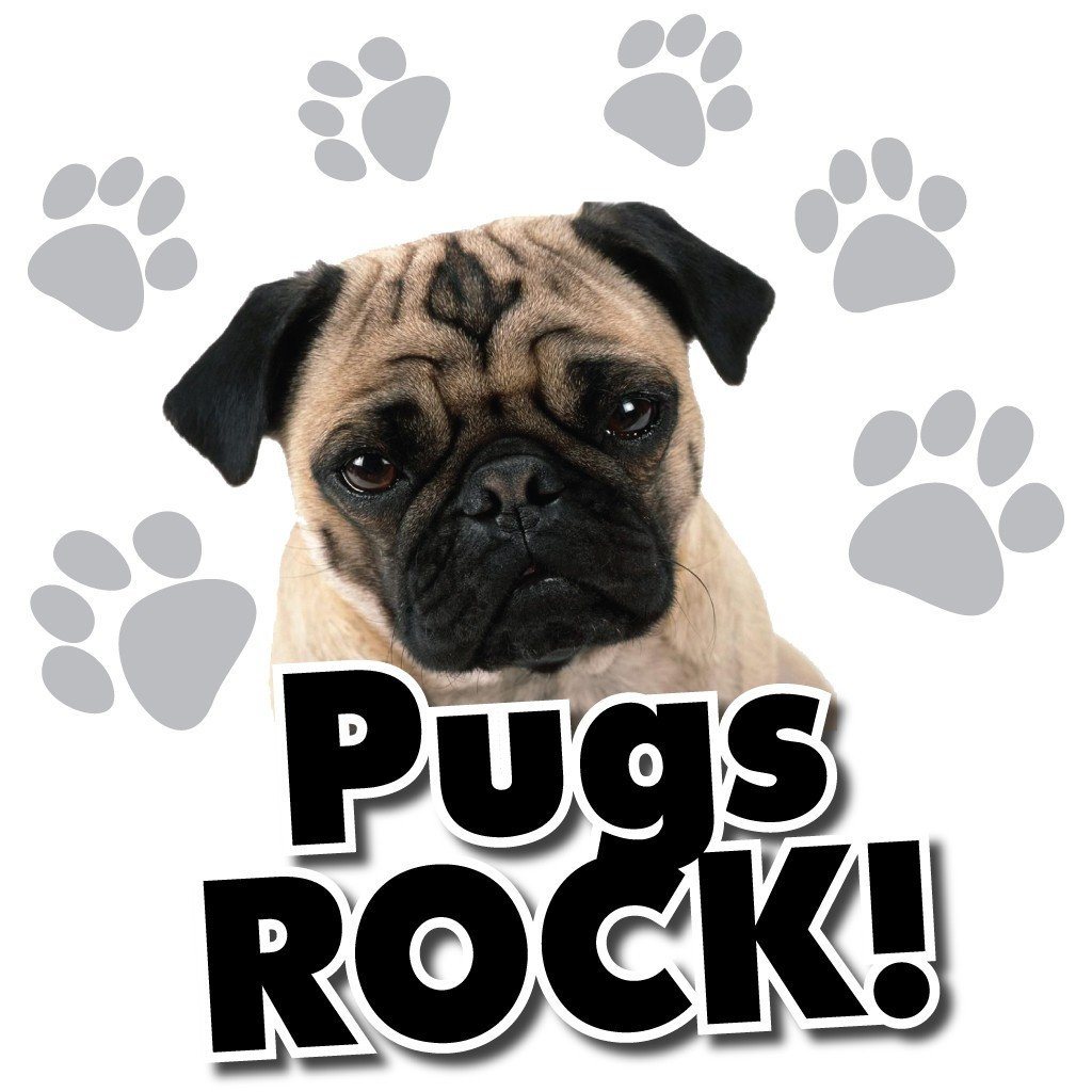 Pugs Rock! White T-Shirt - FREE SHIPPING