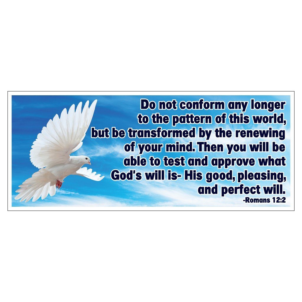 Romans 12:2 Bumper Magnet 3.75 x 9 - FREE SHIPPING