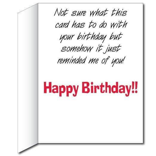 3' Stock Design Giant Birthday Card w/Envelope - Toilet Cat