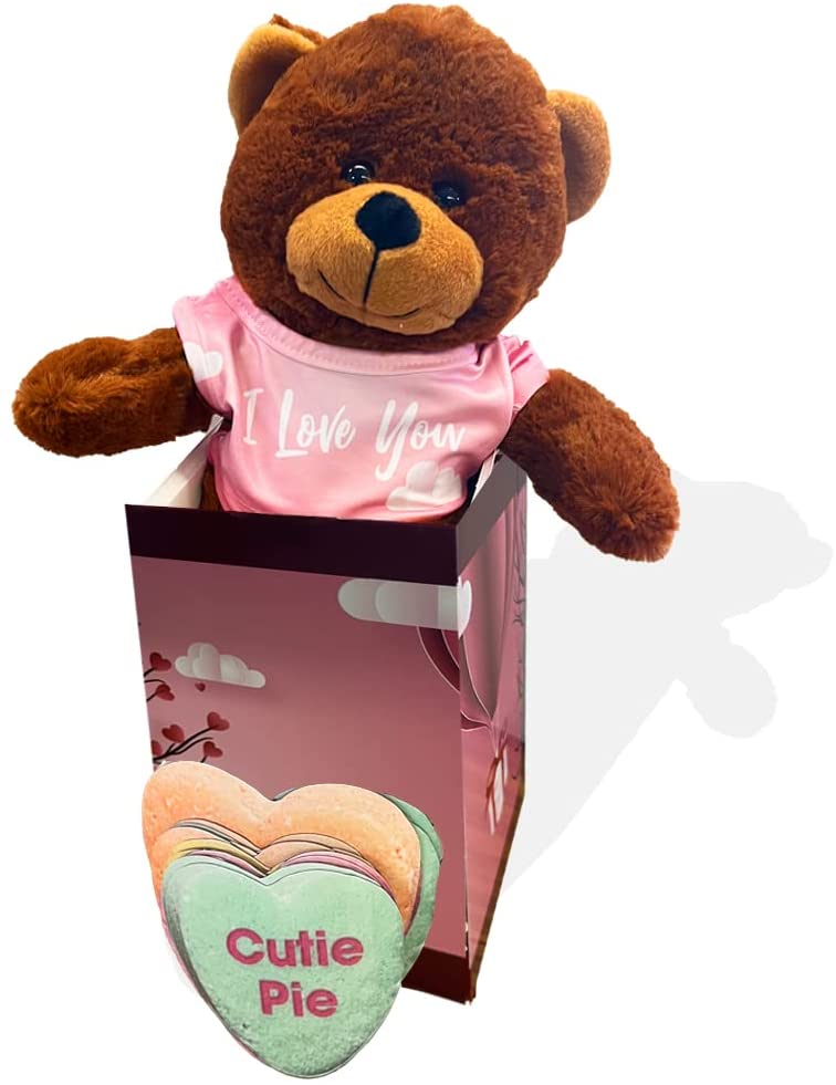 Valentine Gift Box: Plush Stuffed Bear with Candy Heart Magnets (20108)