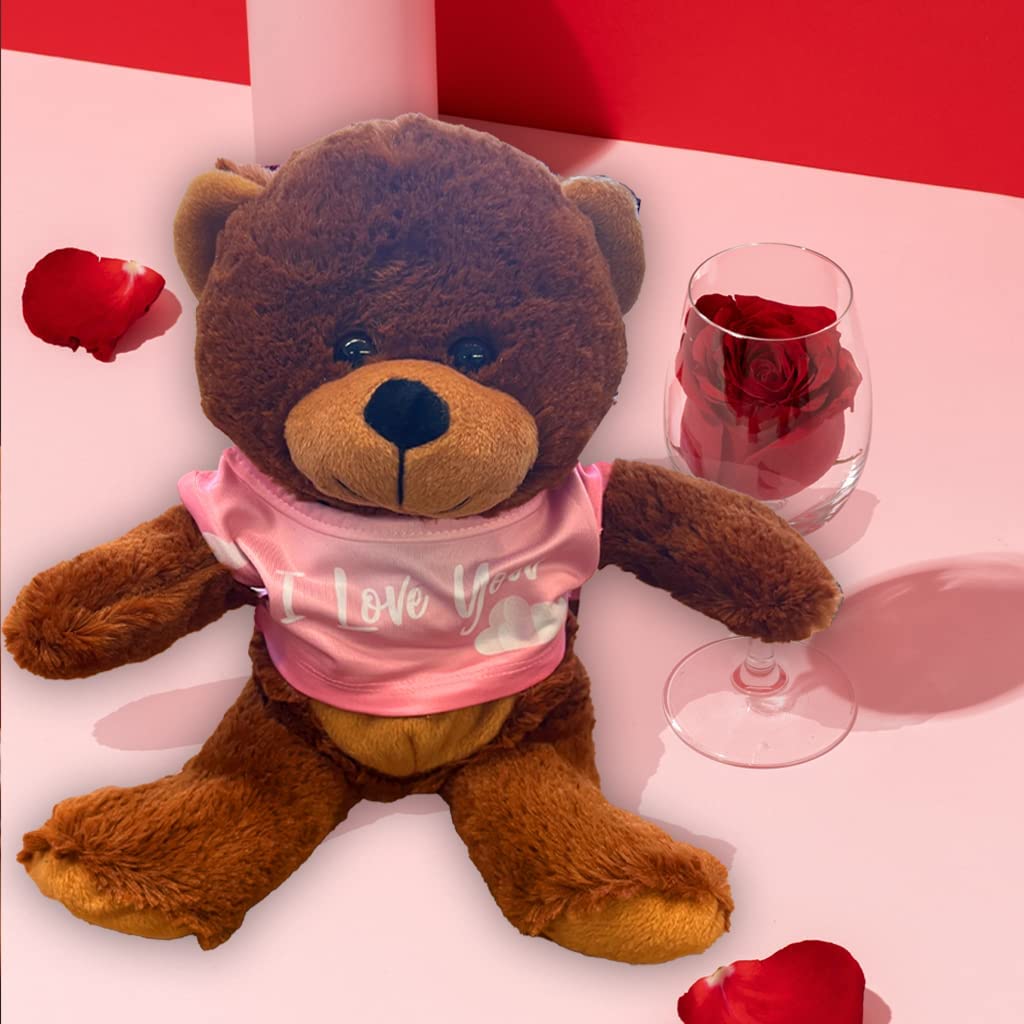 Valentine Gift Box: Plush Stuffed Bear with Candy Heart Magnets (20108)