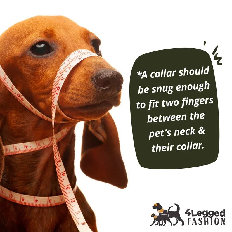 Wedding Dog Bandana and Tag | Bundle