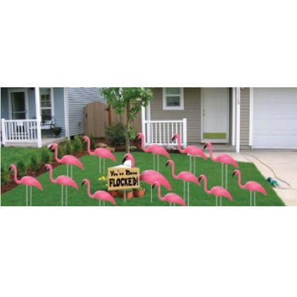 Flamingo Flocking - You've Been Flocked Set - FREE SHIPPING
