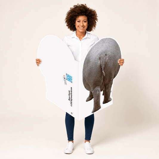 3' Giant Hippo Birthday Greeting Card