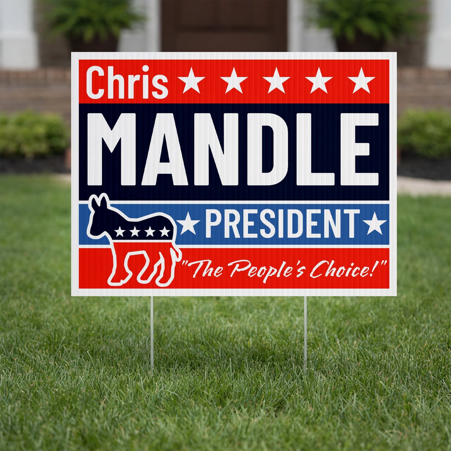 Custom Democrat 18"x24" Political Yard Signs