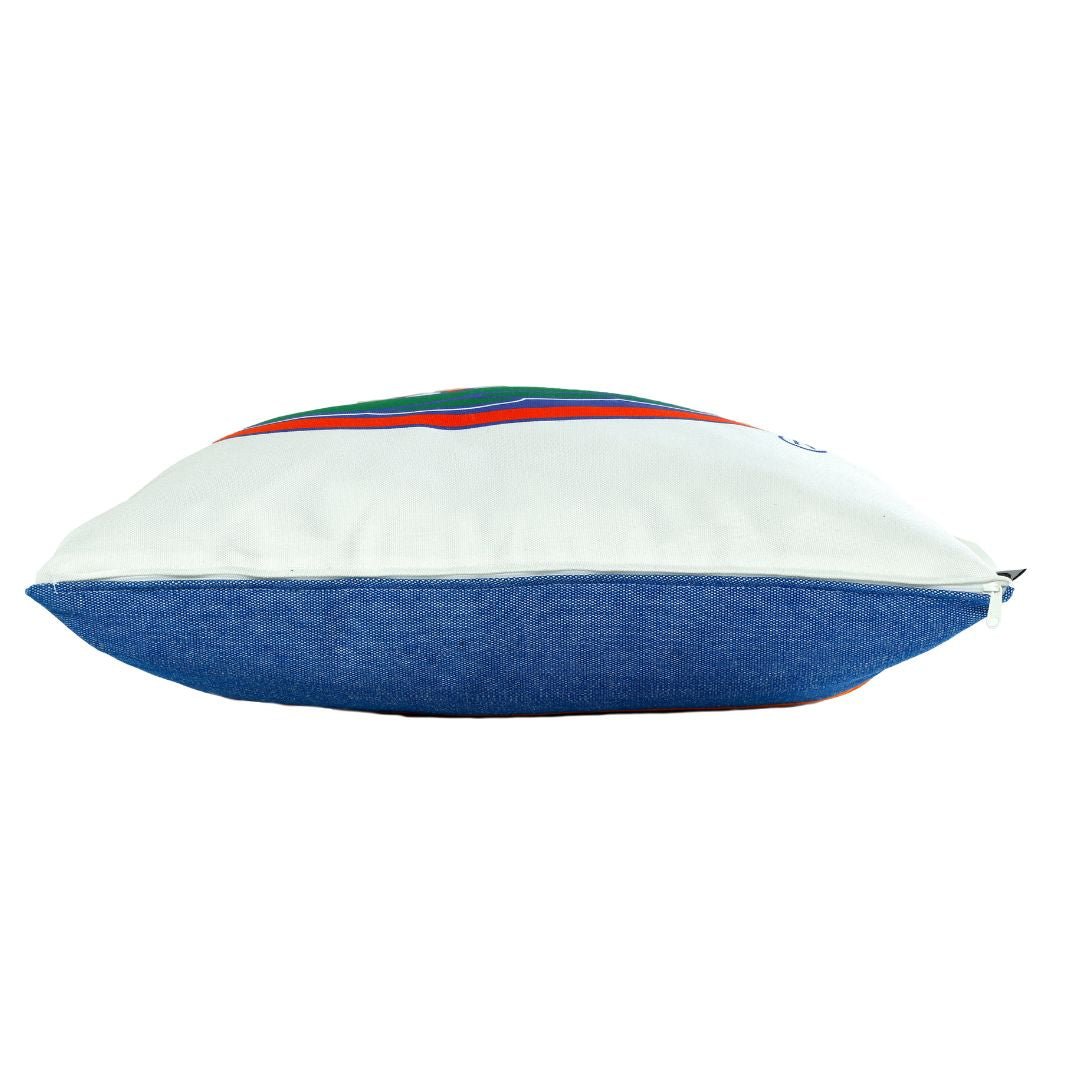Florida Gators Mascot Pillow Cover