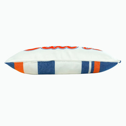 GATORS Lumbar Pillow Cover