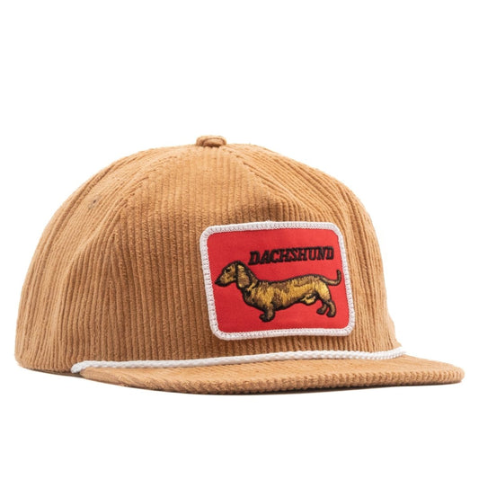 Golden Dachshund Hat
