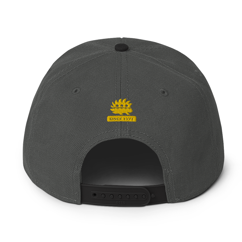 Don't Tread on Anyone Snapback Hat