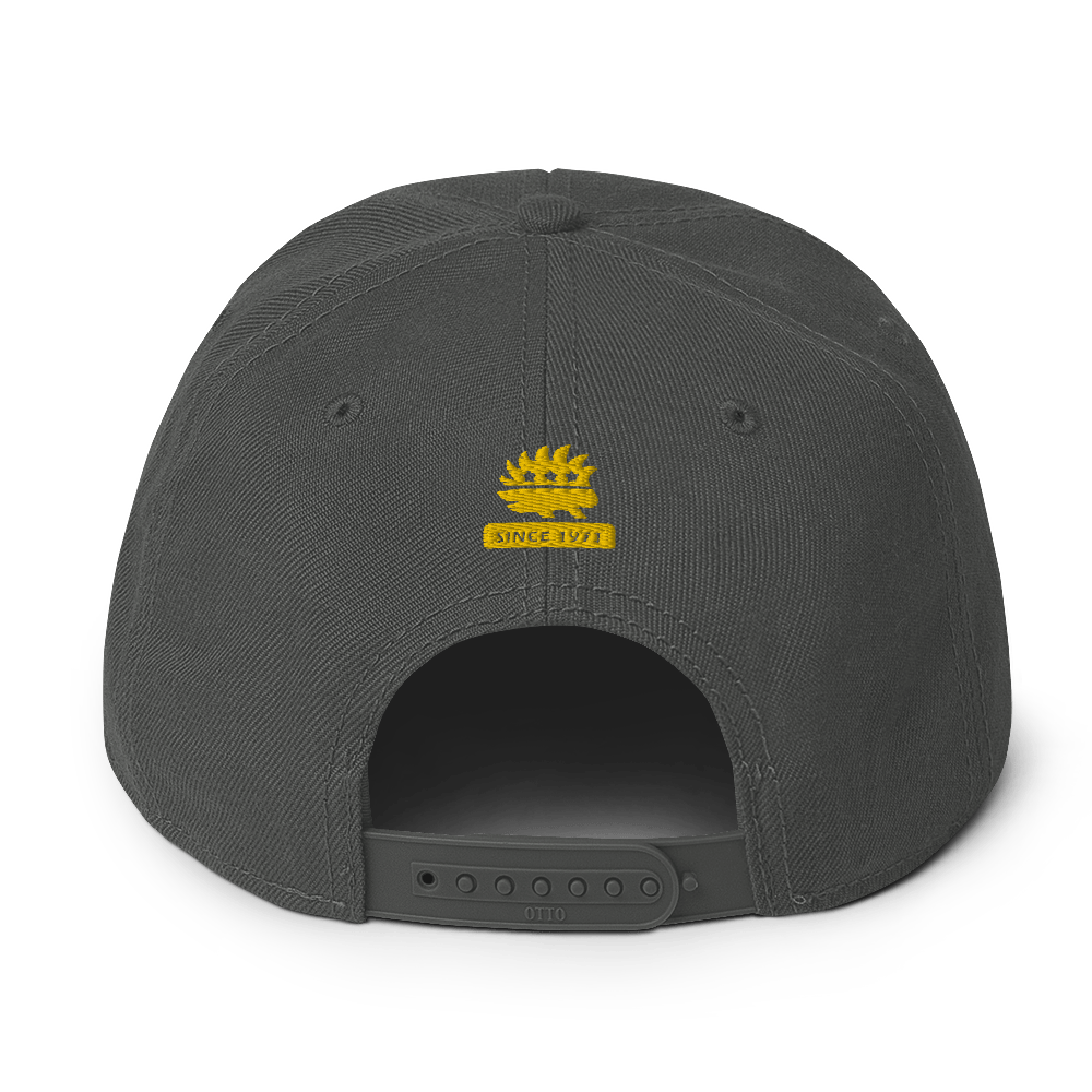 Don't Tread on Anyone Snapback Hat