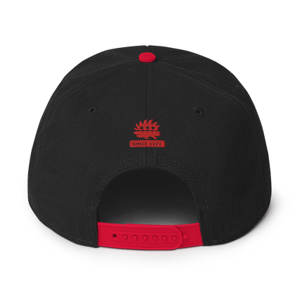Don't Tread on Anyone Snapback Hat