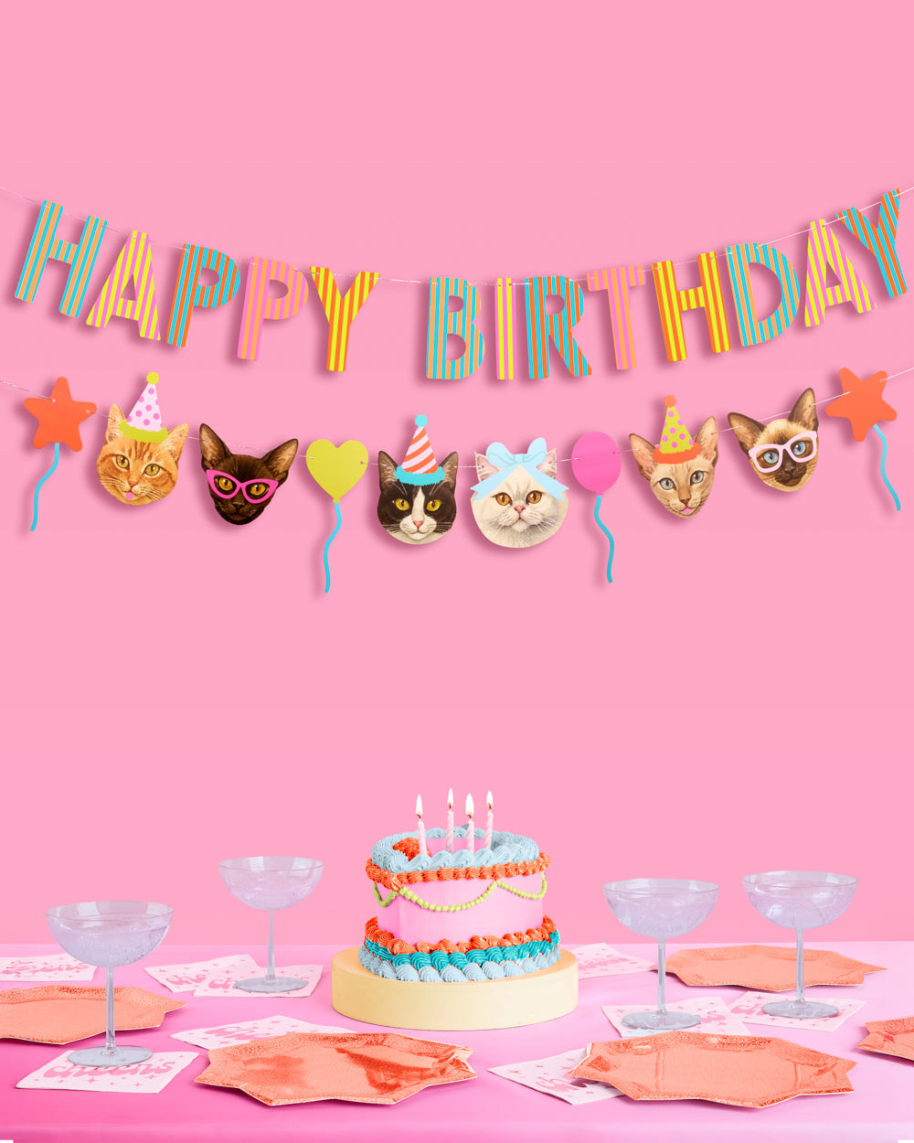 Crazy Cat Banner - really fun party banner