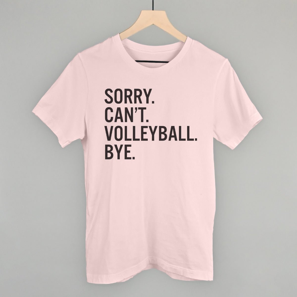 Sorry Can't Volleyball Bye