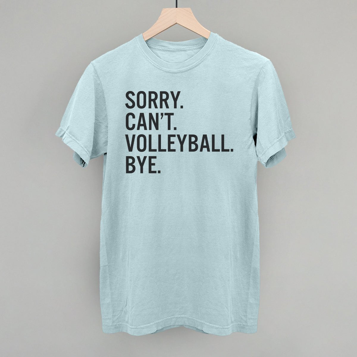 Sorry Can't Volleyball Bye