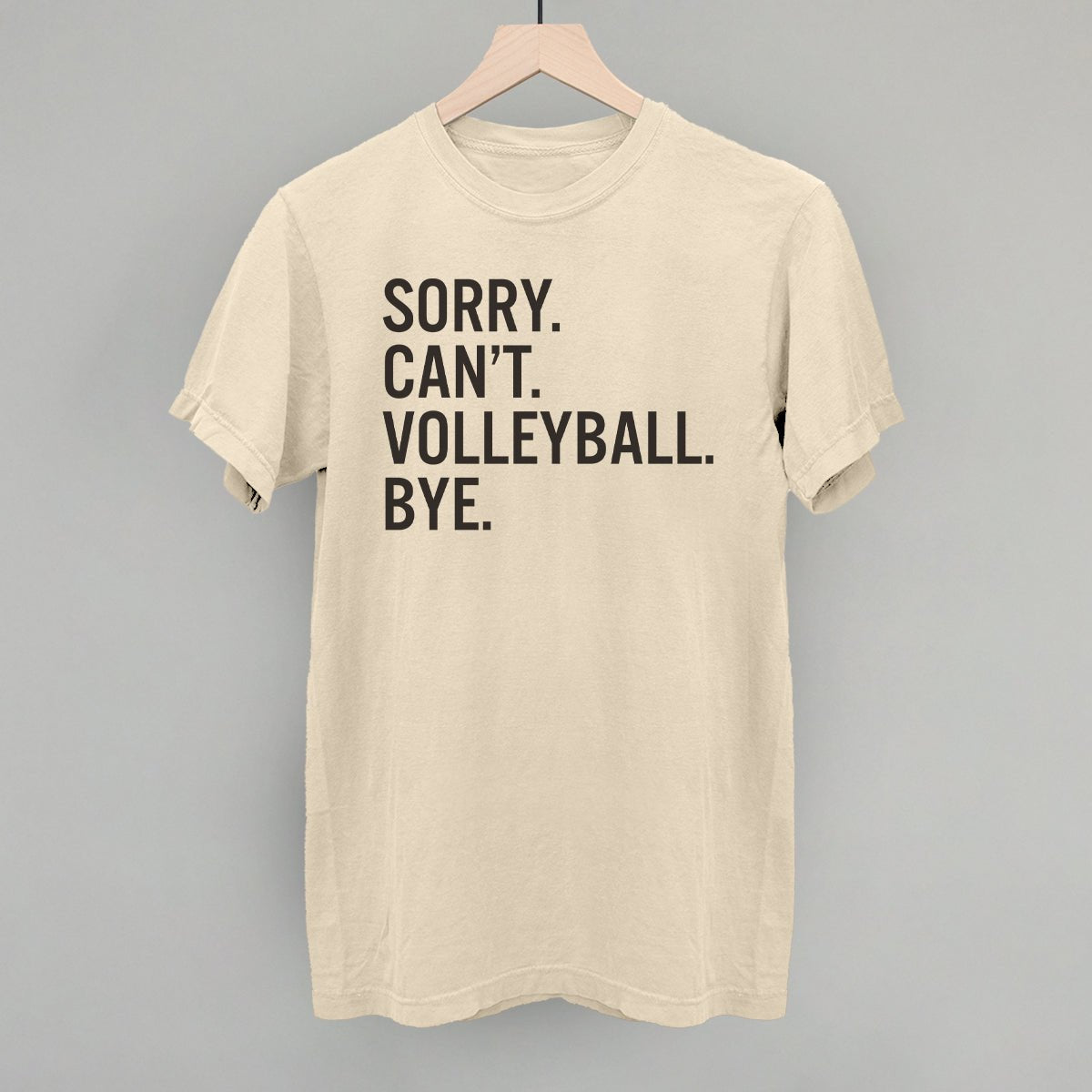 Sorry Can't Volleyball Bye