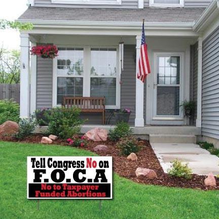 No on F.O.C.A. - ProLife 2-Pack 12"x24" Corrugated Plastic Yard Sign - FREE SHIPPING
