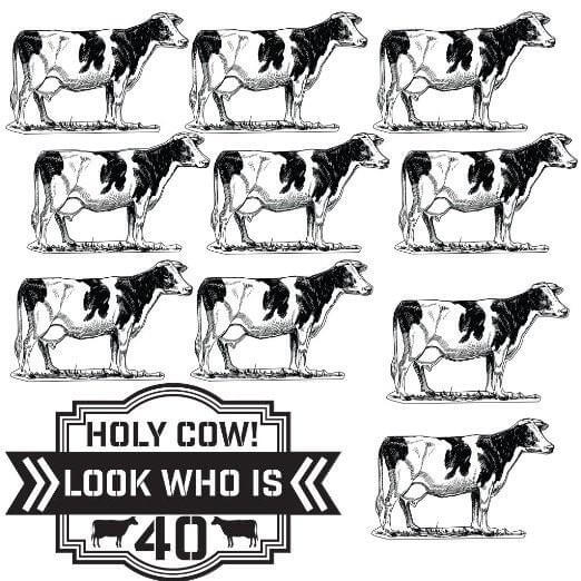 Birthday Yard Decoration - Holy Cow! Look Who Is... - FREE SHIPPING