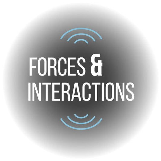 Virtual Reality Science At-home Tutor: Forces & Interactions (8PS)