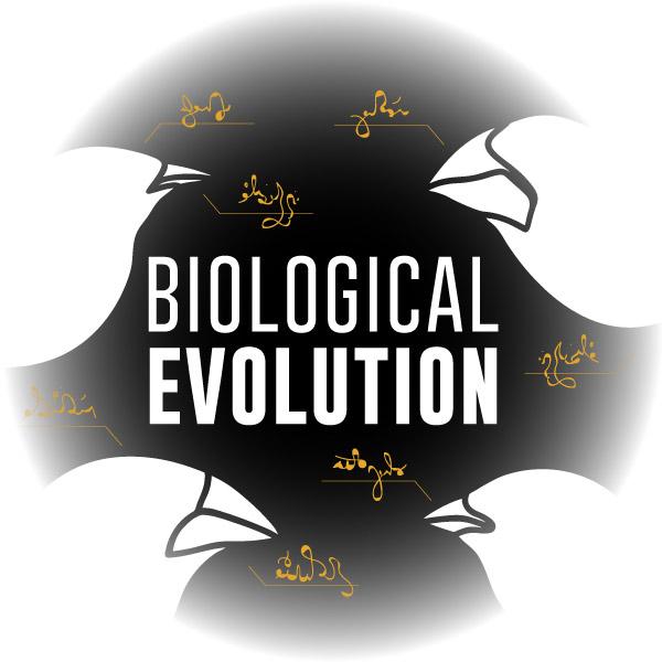 Virtual Reality Science At-home Tutor: Biological Evolution (8LS)