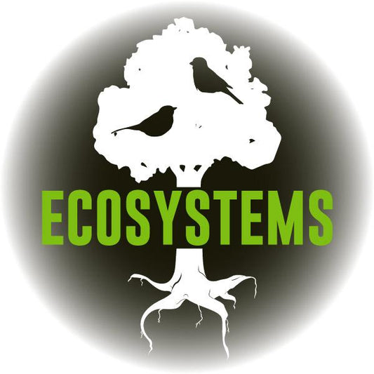 Virtual Reality Science At-home Tutor: Ecosystems (5LS)