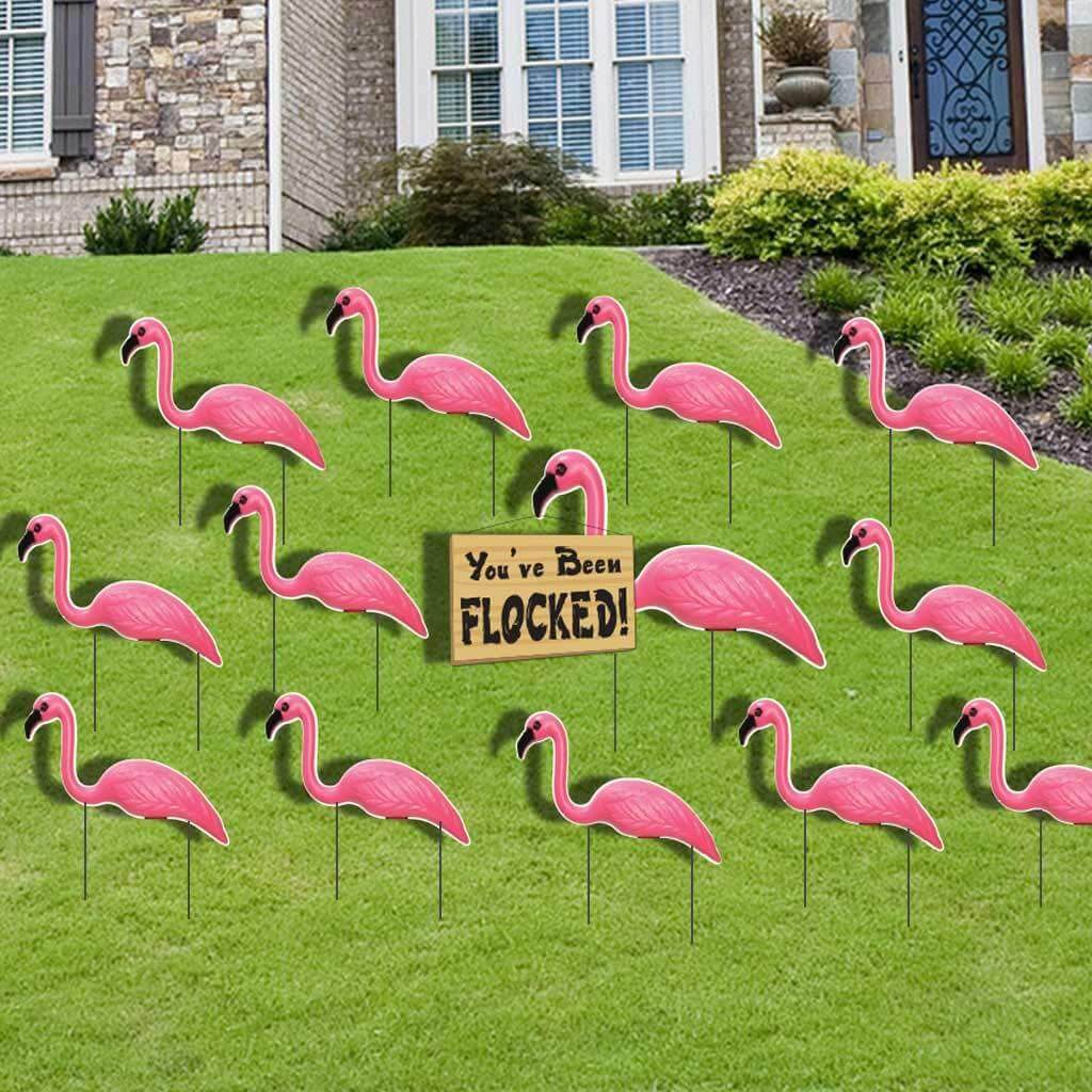 Flamingo Flocking - You've Been Flocked Set - FREE SHIPPING
