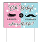 Oh Baby! Gender Reveal Yard Sign Party Decoration