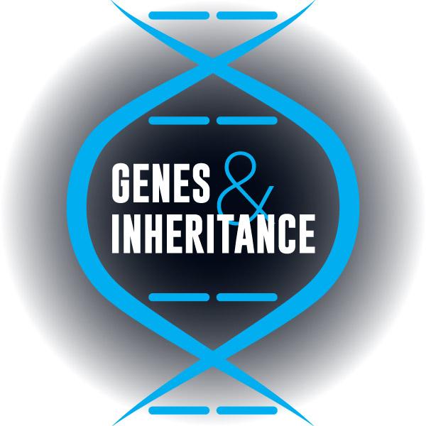 Virtual Reality Science At-home Tutor: Genes and Inheritance (7LS)