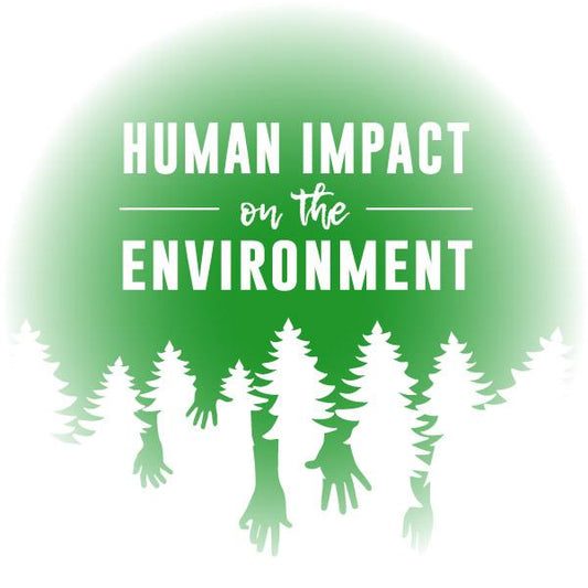 Virtual Reality Science At-home Tutor: Human Impact on the Environment (8ES)