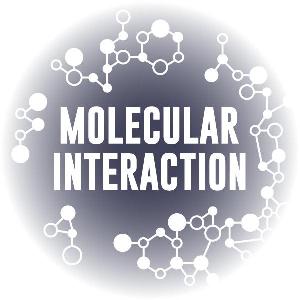 Virtual Reality Science At-home Tutor: Molecular Interaction (6PS)