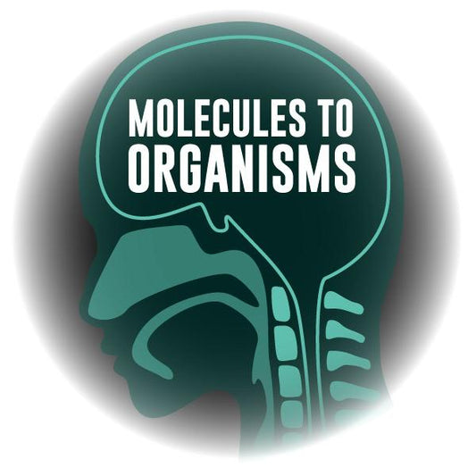 Virtual Reality Science At-home Tutor: Molecules to Organisms (6LS)