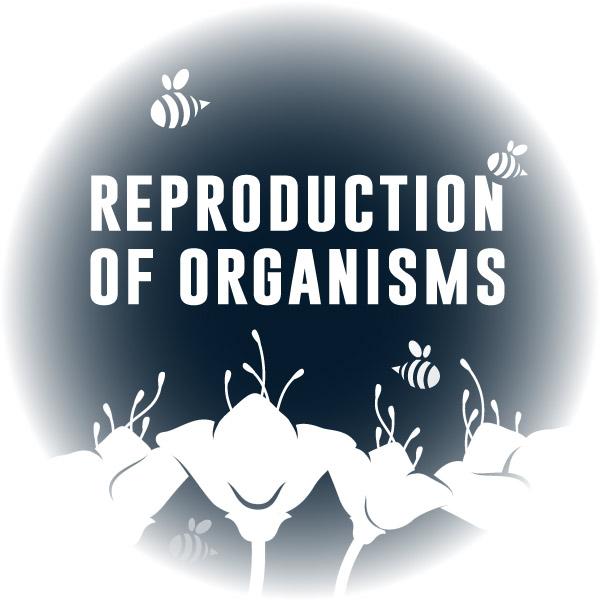 Virtual Reality Science At-home Tutor: Reproduction of Organisms (6LS)