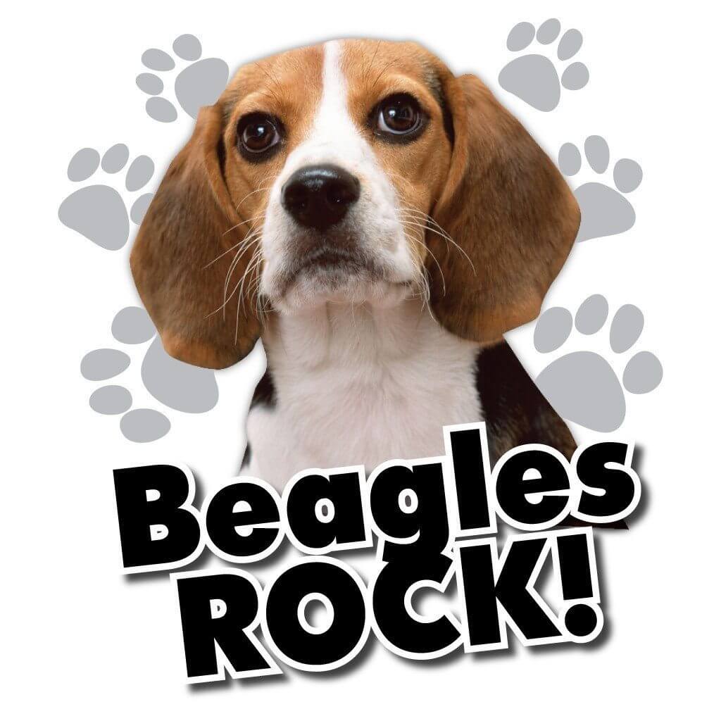 Beagles Rock! White T-Shirt - FREE SHIPPING