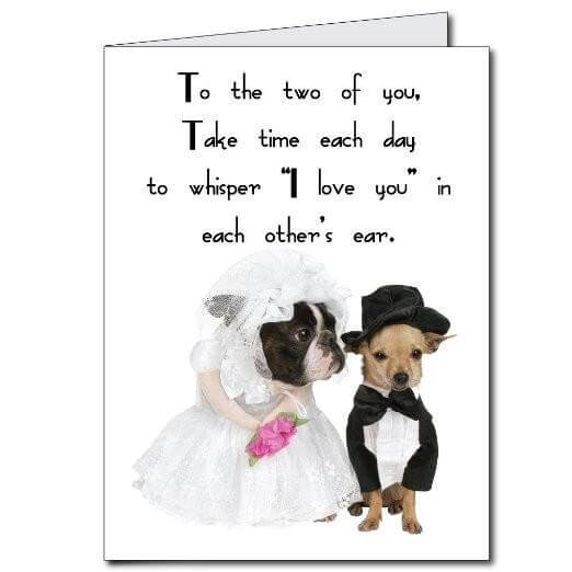 3' Stock Design Wedding Congratulations with Bulldog and Chihuahua Giant
