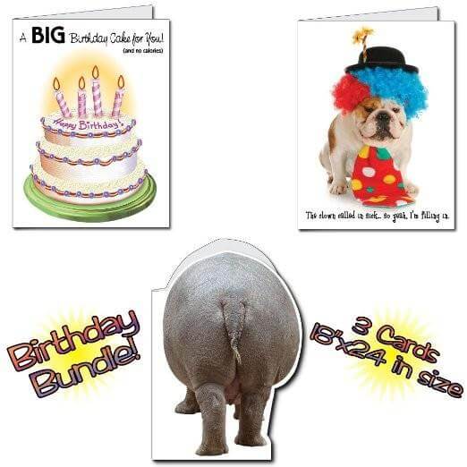 18"x24" BIG Birthday Cards, Set of 6 Funny Cards, 2 Each of 3 Designs,