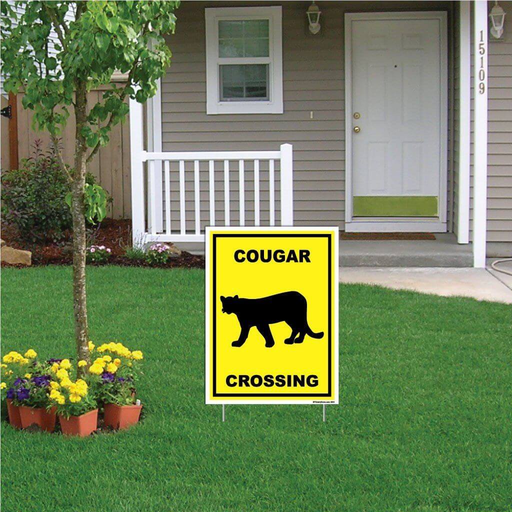 Cougar Crossing Sign or Sticker