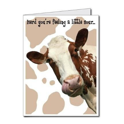 3' Tall Stock Design Giant Get Well Card (Stock Feeling Sour Cow), W/Envelope