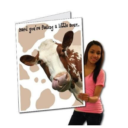 3' Tall Stock Design Giant Get Well Card (Stock Feeling Sour Cow), W/Envelope